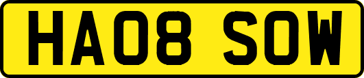 HA08SOW