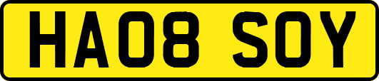 HA08SOY