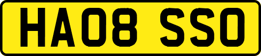 HA08SSO