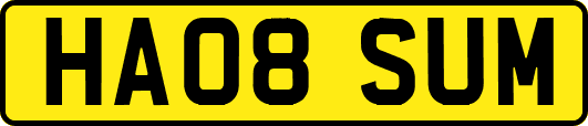 HA08SUM