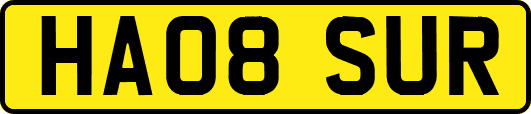 HA08SUR