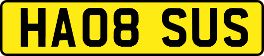 HA08SUS