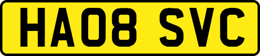 HA08SVC