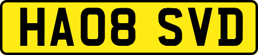 HA08SVD