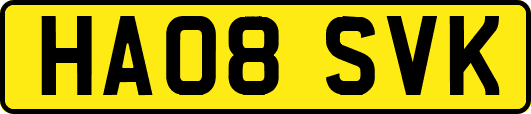 HA08SVK