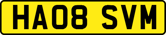 HA08SVM