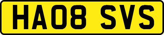 HA08SVS