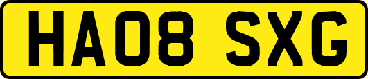 HA08SXG
