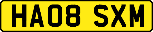 HA08SXM