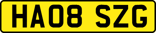 HA08SZG