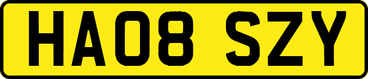 HA08SZY