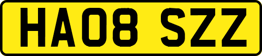 HA08SZZ