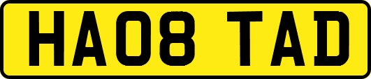 HA08TAD