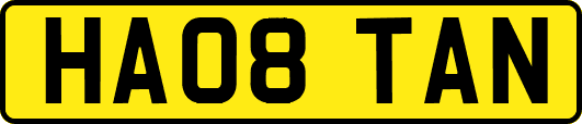 HA08TAN