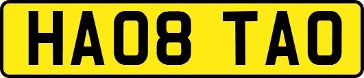 HA08TAO