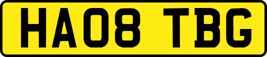 HA08TBG