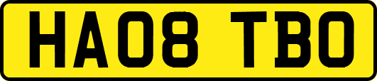 HA08TBO