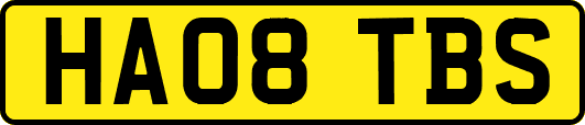 HA08TBS