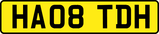HA08TDH