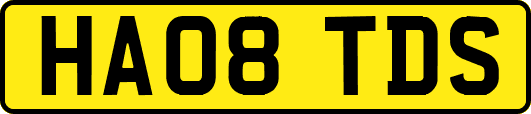 HA08TDS