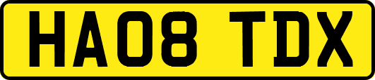 HA08TDX