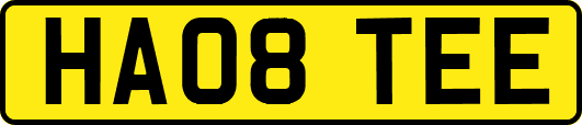 HA08TEE