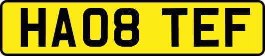 HA08TEF
