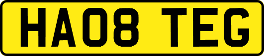 HA08TEG