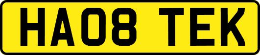 HA08TEK