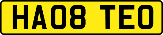 HA08TEO