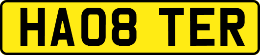 HA08TER