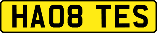 HA08TES