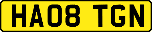HA08TGN