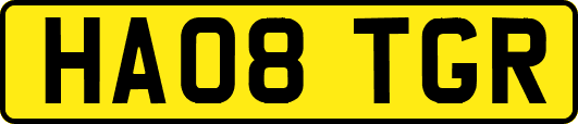 HA08TGR