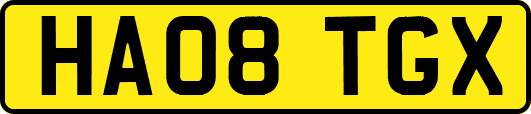 HA08TGX