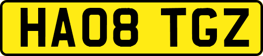 HA08TGZ