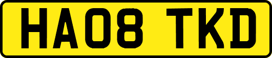 HA08TKD