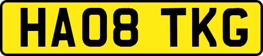 HA08TKG