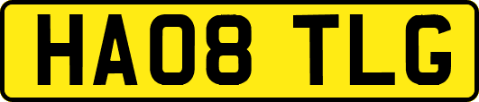 HA08TLG