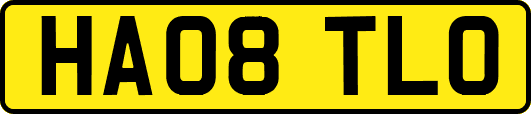 HA08TLO