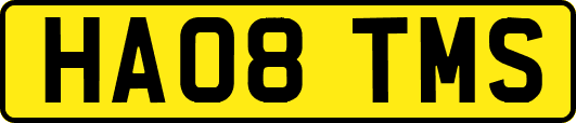 HA08TMS