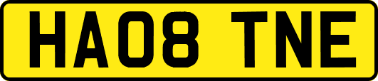 HA08TNE