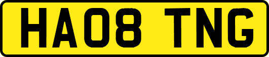 HA08TNG