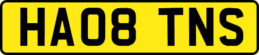 HA08TNS
