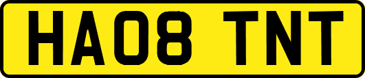 HA08TNT