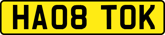 HA08TOK