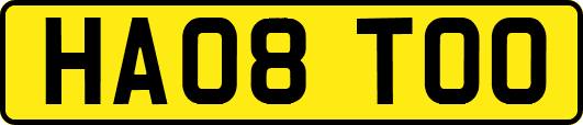 HA08TOO