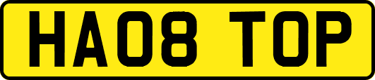 HA08TOP
