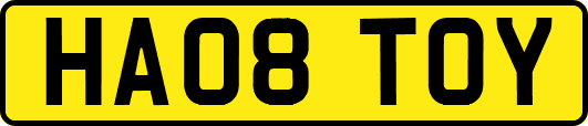 HA08TOY