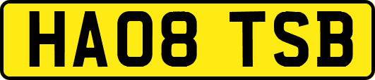 HA08TSB